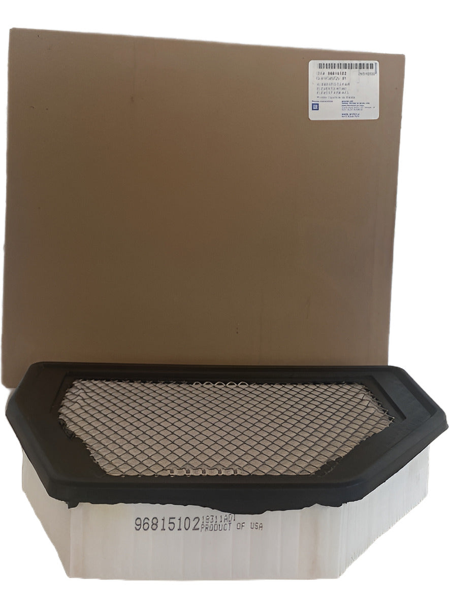 Filtro De Ar Captiva 2008/2017 Original Gm