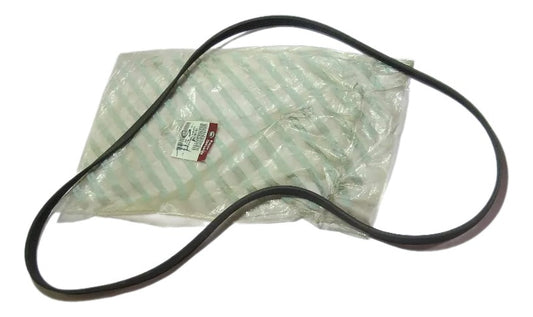 Correia do Alternador Palio 04/17 Siena 04/16 Strada 04/20 Original 55190031