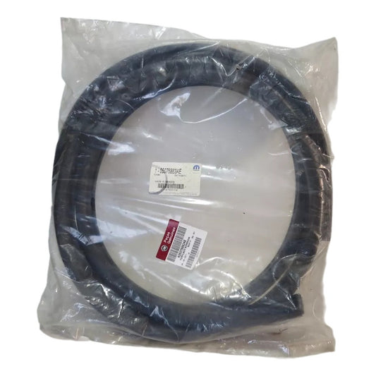 Borracha Porta Dianteira Esquerda – Fiat Freemont