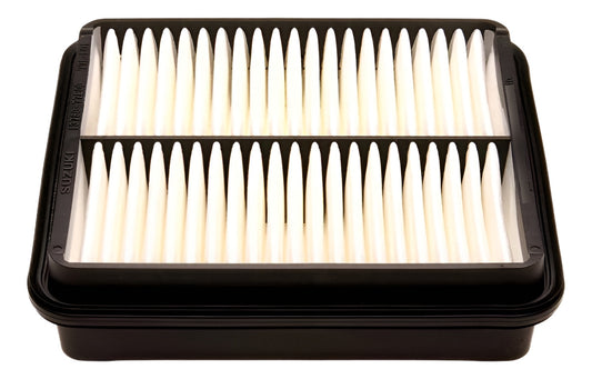 Filtro Ar Do Motor Tracker 2001-2009 Original Gm 30025009