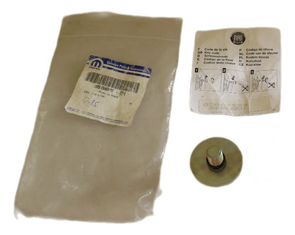 Parafuso Anti Furto Estepe Idea 2011/2016 Original Fiat 51940098