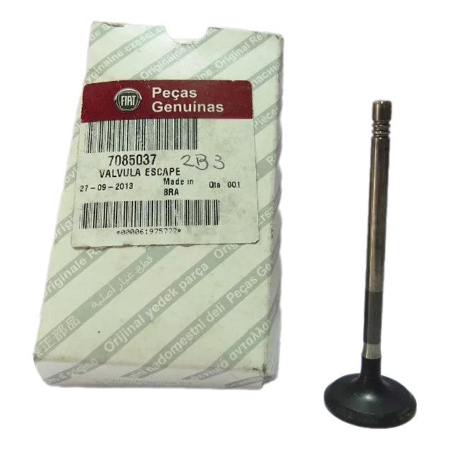 Válvula de Escape Fiat Doblo Idea Palio Punto Siena Stilo Original 7085037