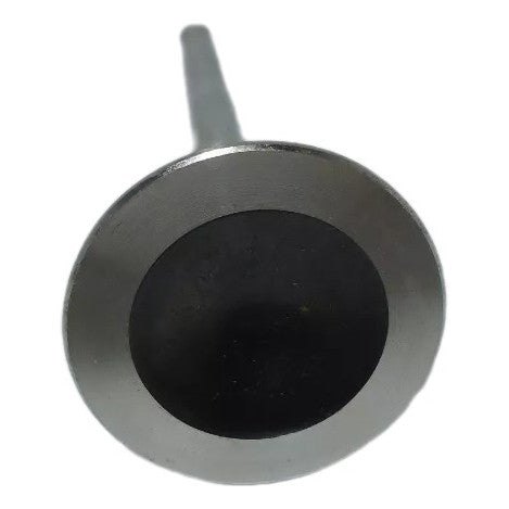 Válvula de Escape Linea 1.9 16v 2009 a 2014 Original Fiat 55217766
