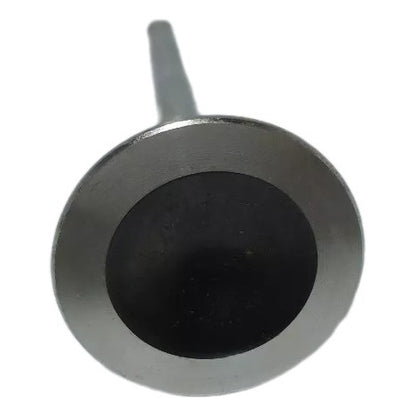 Válvula de Escape Linea 1.9 16v 2009 a 2014 Original Fiat 55217766