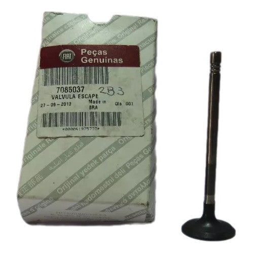 Válvula de Escape Fiat Doblo Idea Palio Punto Siena Stilo Original 7085037
