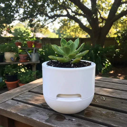 Vaso Autoirrigável de Contato Design Minimalista Impresso 3d