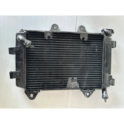 Radiador Bajaj Dominar 400 para Reparo