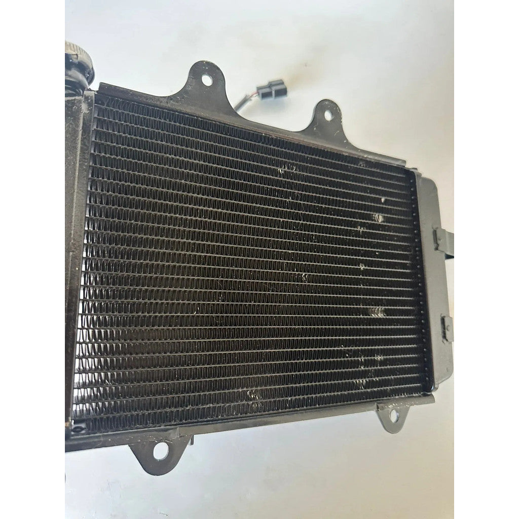 Radiador Completo Bajaj Dominar 400