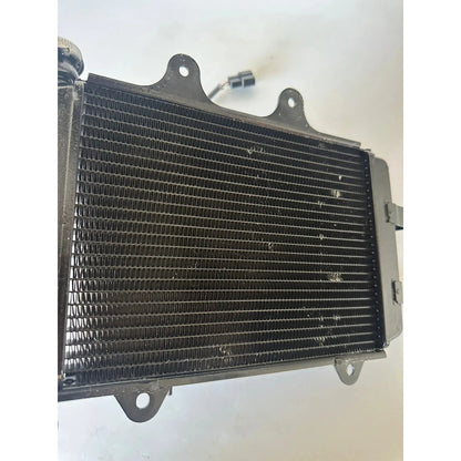 Radiador Completo Bajaj Dominar 400