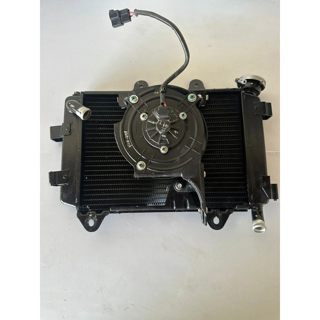 Radiador Completo Bajaj Dominar 400