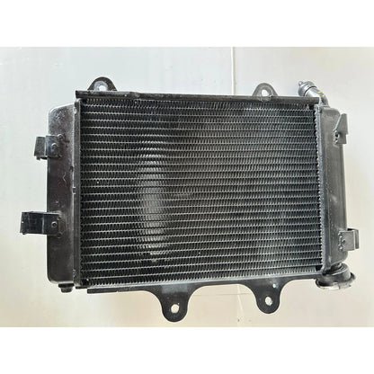 Radiador Bajaj Dominar 400 para Reparo