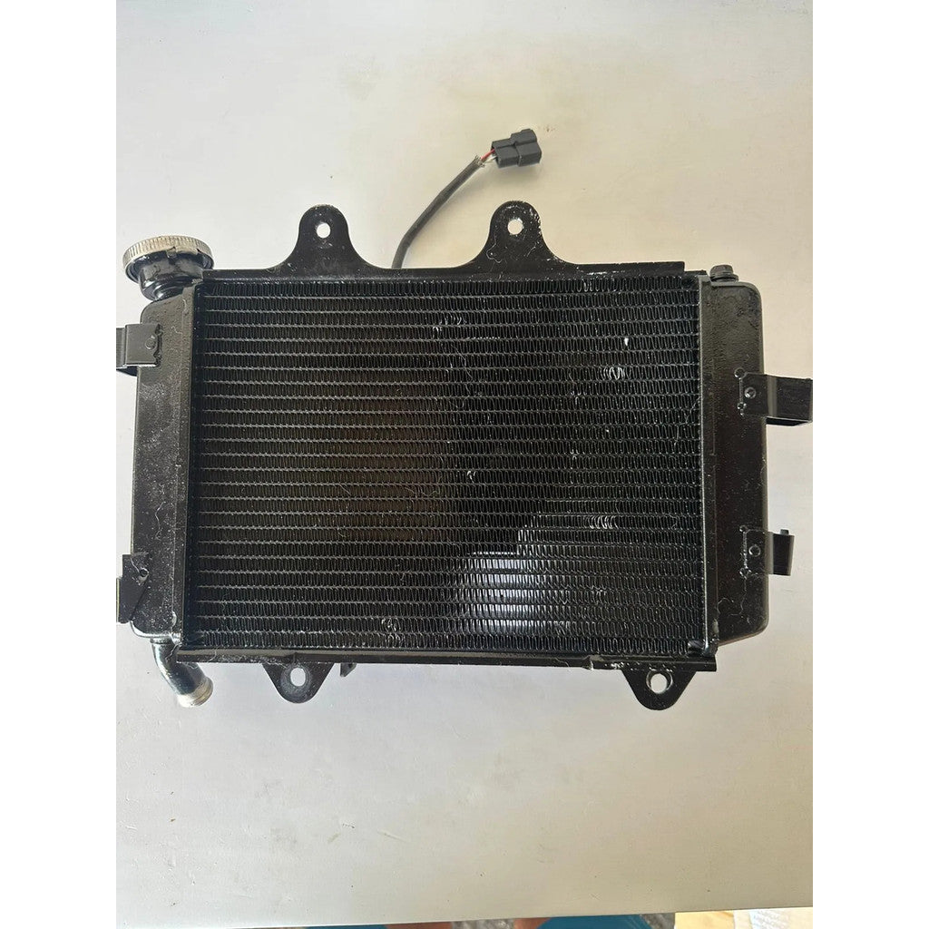 Radiador Completo Bajaj Dominar 400