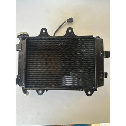 Radiador Completo Bajaj Dominar 400