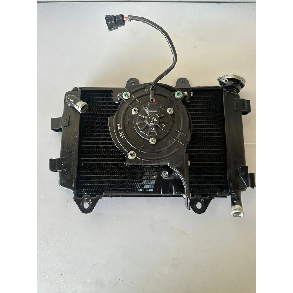 Radiador Completo Bajaj Dominar 400